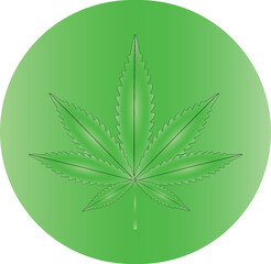 Vector illustration of marijuana leaf, cannabis plant used for medicinal purposes	