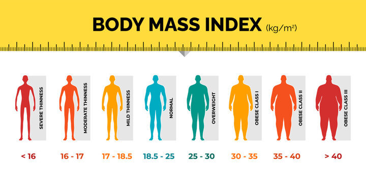 BMI classification chart measurement man colorful infographic with ruler. Male Body Mass Index scale collection from underweight to overweight fit. Person different weight level. Vector illustration