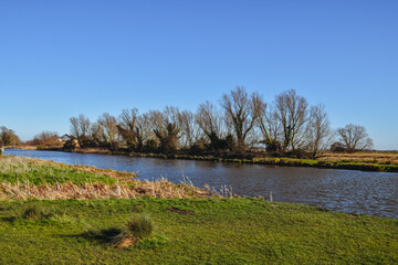 Landscape with lake, in the background willows, yellow grass, blue water