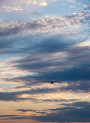 The glowing sky at sunset