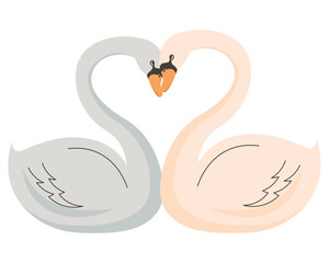 swans animals couple love