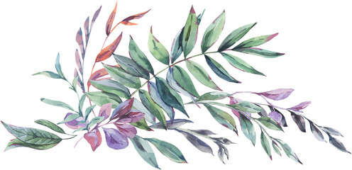 Watercolor illustration of flowers transparent png