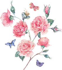 Watercolor rose bouquet transparent png
