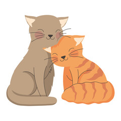 cats animals couple love