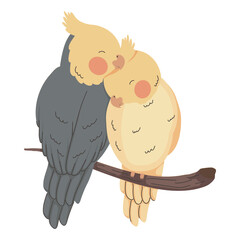 birds animals couple love
