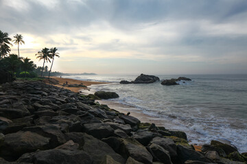 palm trees ocean beach sri lanka