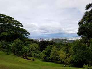 Field in the mountain with view of Honolulu