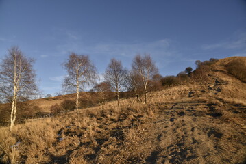 monte 