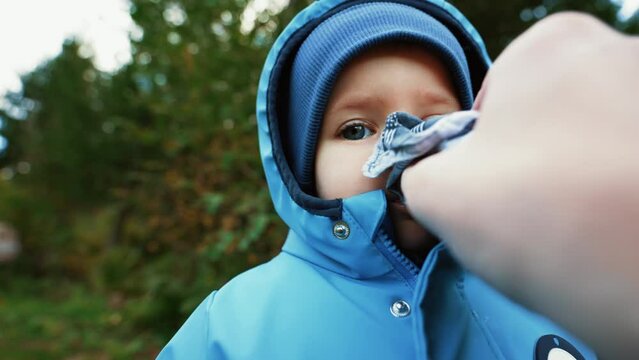 Hand of mother wiping nose of grumpy little boy with napkin. Toddler in jacket stands against dark trees in autumn countryside closeup slow motion