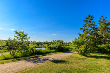 Fototapeta na wymiar Summer Time at Lakewood Park in Saskatoon, Saskatchewan, Canada