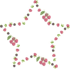 メッセージカードに使えるフレーム 枠 フルーツのイラスト