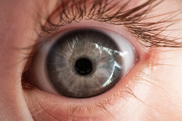 beautiful gray human eye macro photography