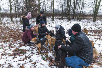 Full-length outdoor shot of voluntary worker on a winter walk with mixed-breed shelter dogs....