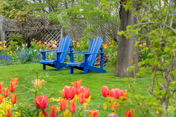 Blue Adirondack chairs sitting in a backyard garden.