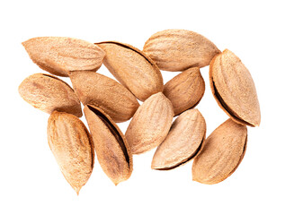 Mountain almonds isolated on white background. Uzbek wild almonds. Clipping path. Top view.