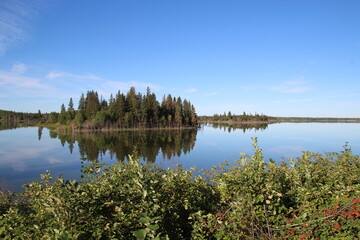 Fototapeta premium reflection of trees in lake, Elk Island National Park, Alberta