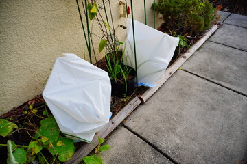 Plant covering to protect from frost and freeze