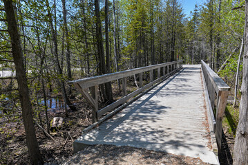 View at forest path walk in Bruce Peninsula national park neat Tobermory village in Ontario...