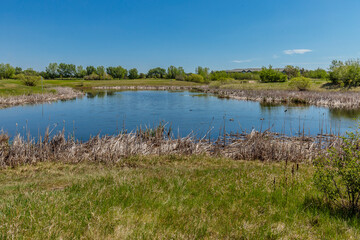 Summer Time at Lakewood Park in Saskatoon, Saskatchewan, Canada