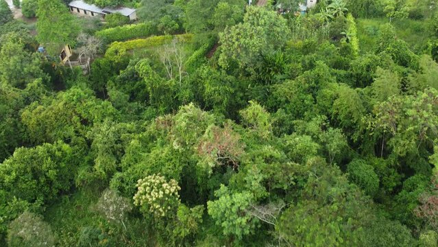 PLANO DRONE DE UNA MONTA&Ntilde;A