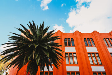 Art deco style orange building facade with a large palm tree in Mexico city  - art and architecture...