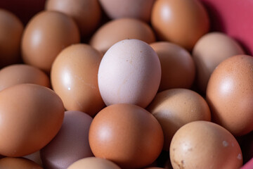 pile of raw eggs with a focus on eggs of different colors