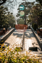 산책길