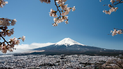 Snow-capped Mt. Fuji framed by cherry blossom, Fuji five lakes region, Japan.