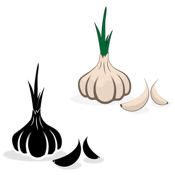garlic and onion isolated