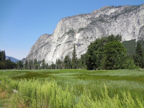 View from Trail in Cook's Meadow, Yosemite National Park, California
