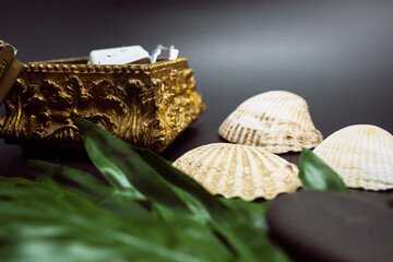 Ancient vintage gold tone jewelry box detailed earrings silver