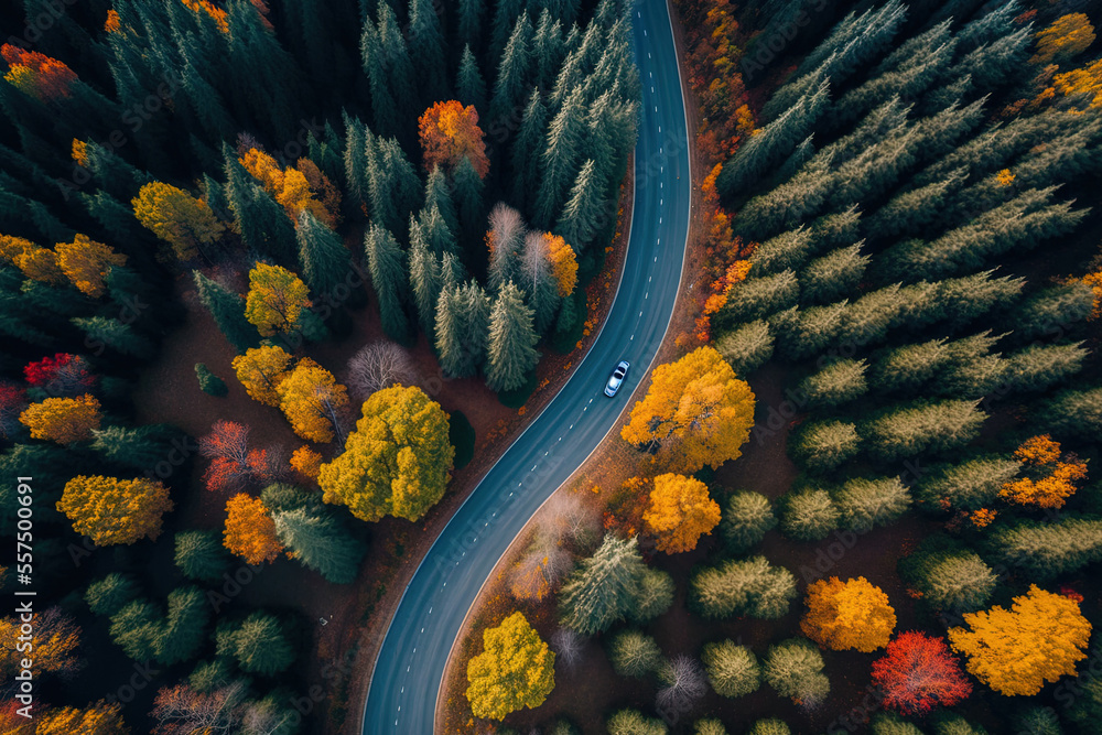 Poster Aerial picture of the Ingol Domanic Road with lovely autumnal foliage. Generative AI