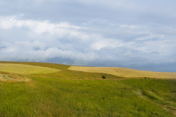 Fototapeta premium green field and sky