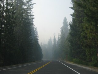 Fototapeta premium Morning Foggy Road in California, traveling to Yosemite 