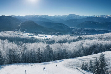 Winter Landscape On Cold Day With Snow Covered Trees On Ski Trail Slope Piste, Generative AI	