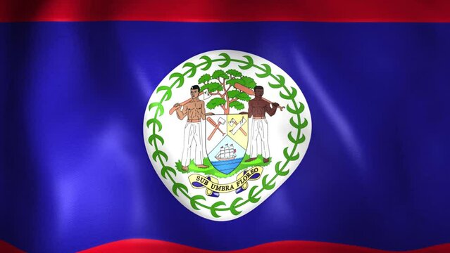 Animation of the Belizean flag. 4K. Belize flag flying, 3D flag render animation	