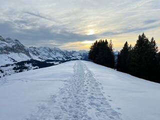 Magical sunset and shy sun behind winter clouds over the Obertoggenburg region and in the Swiss Prealps, Urnäsch (Urnaesch or Urnasch) - Canton of Appenzell Innerrhoden, Switzerland (Schweiz)