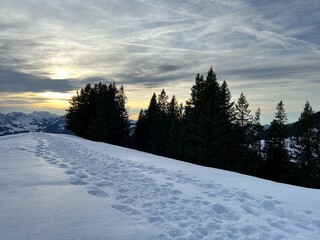 Magical sunset and shy sun behind winter clouds over the Obertoggenburg region and in the Swiss Prealps, Urnäsch (Urnaesch or Urnasch) - Canton of Appenzell Innerrhoden, Switzerland (Schweiz)