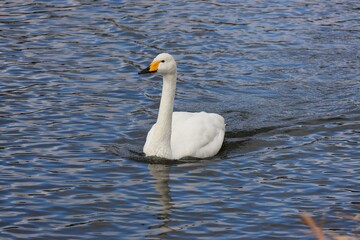 お腹すいたなあ