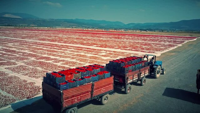 drying tomatoes in farmland
drone image of operation