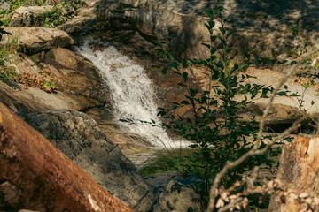 Obraz premium A stream splashing over boulders in the Sierra National Forest.