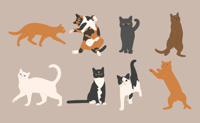 cat cute 11 on a white background, vector illustration.