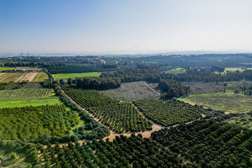 High resolution panorama image of Rehovot Winter Pond before the flood- Rehovot Israel