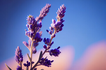 Obraz premium Lavender plant still life, Generative AI