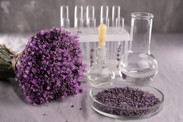 Purple lavender flowers with glass flask, vial and test tubes in biological cosmetic health science, laboratory background