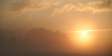Tree branches at a foggy sunset. Sunset fog outdoors. Misty orange sunset scene.