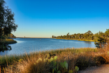 View of Lake Miramar and vegetation from the walking trail.