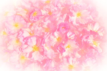 Pink flowers cherry sakura background. Flower wall illustration. Soft selective focus. Holiday postcard. Pink petals and yellow stamens. Beautiful background. White vignette. Blurry art.