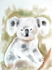 Koala animal on branch with green background watercolor illustration
