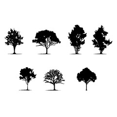 Fototapeta premium 7 alberi